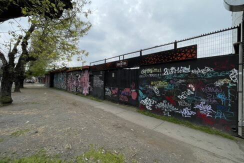 IMG-2447