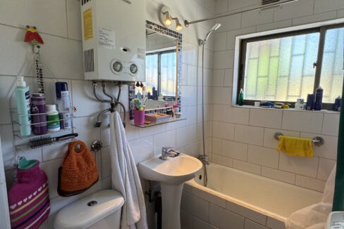 IMG_7393